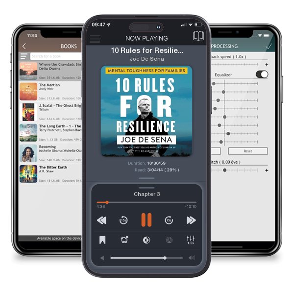 Download fo free audiobook 10 Rules for Resilience by Joe De Sena and listen anywhere on your iOS devices in the ListenBook app.