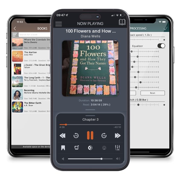 Download fo free audiobook 100 Flowers and How They Got Their Names by Diana Wells and listen anywhere on your iOS devices in the ListenBook app.