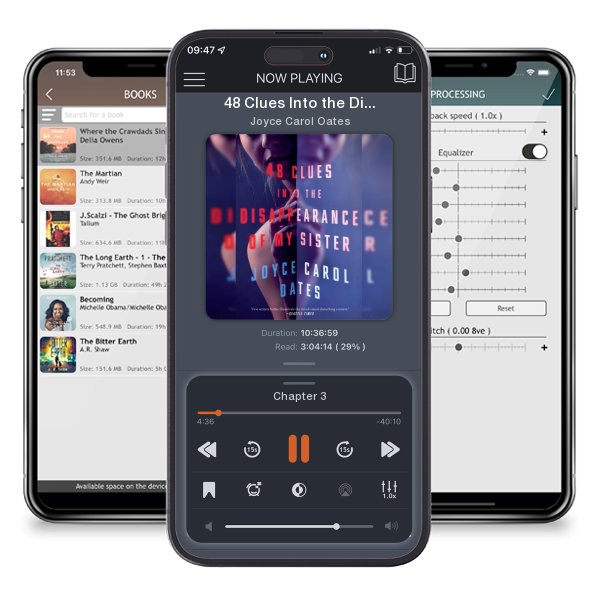 Download fo free audiobook 48 Clues Into the Disappearance of My Sister by Joyce Carol Oates and listen anywhere on your iOS devices in the ListenBook app.