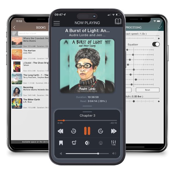 Download fo free audiobook A Burst of Light: And Other Essays by Audre Lorde and Jen Keenan and listen anywhere on your iOS devices in the ListenBook app.