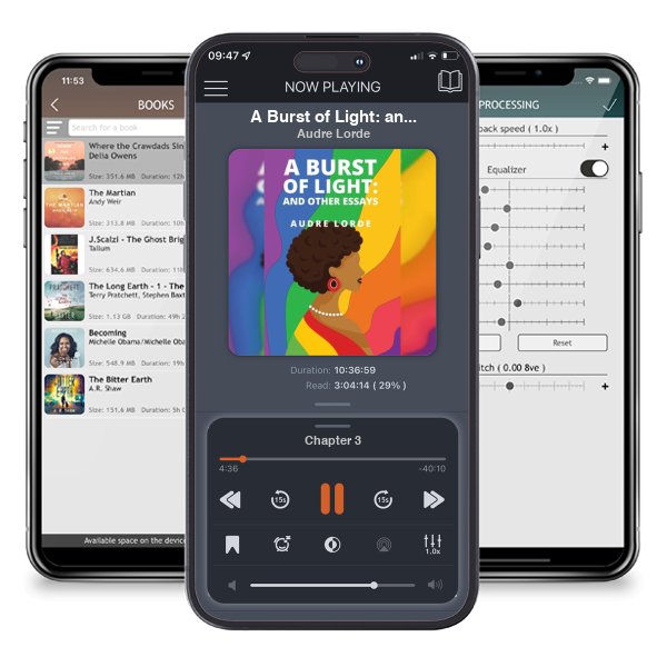 Download fo free audiobook A Burst of Light: and Other Essays by Audre Lorde and listen anywhere on your iOS devices in the ListenBook app.