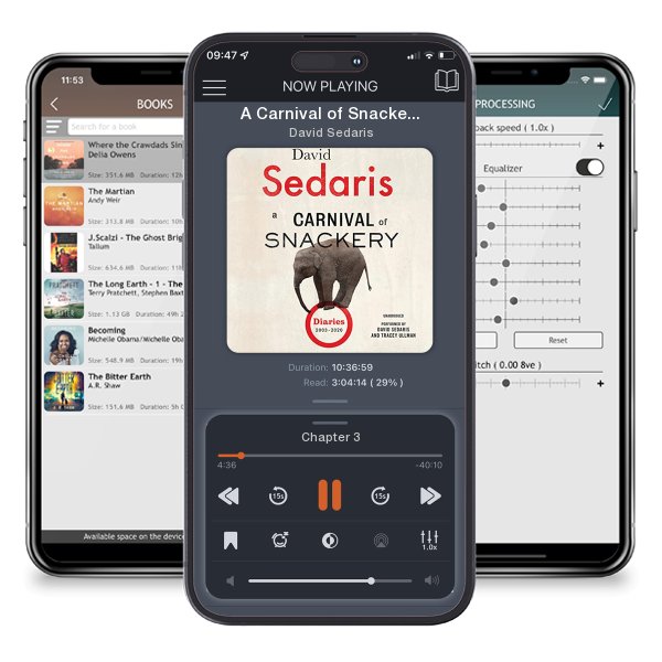 Download fo free audiobook A Carnival of Snackery by David Sedaris and listen anywhere on your iOS devices in the ListenBook app.