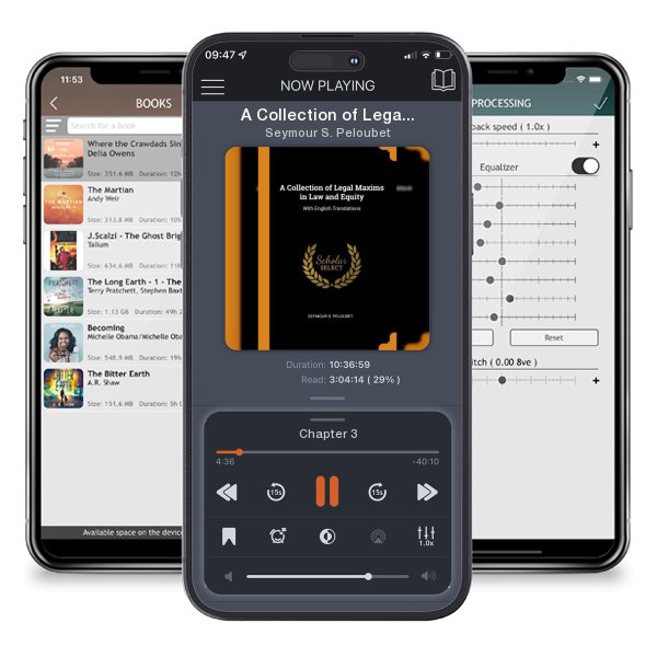 Download fo free audiobook A Collection of Legal Maxims in Law and Equity: With English Translations by Seymour S. Peloubet and listen anywhere on your iOS devices in the ListenBook app.