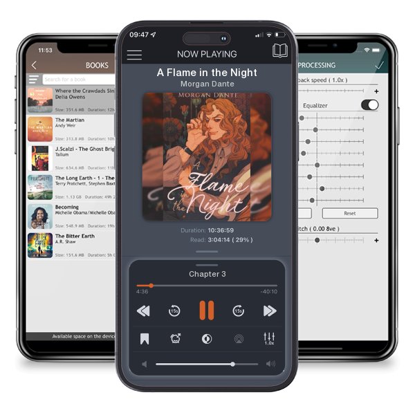 Download fo free audiobook A Flame in the Night by Morgan Dante and listen anywhere on your iOS devices in the ListenBook app.