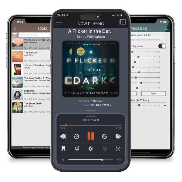 Download fo free audiobook A Flicker in the Dark by Stacy Willingham and listen anywhere on your iOS devices in the ListenBook app.