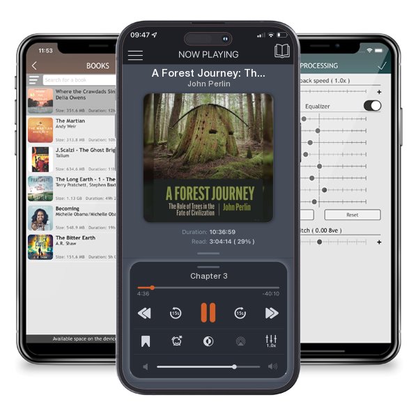 Download fo free audiobook A Forest Journey: The Role of Trees in the Fate of... by John Perlin and listen anywhere on your iOS devices in the ListenBook app.