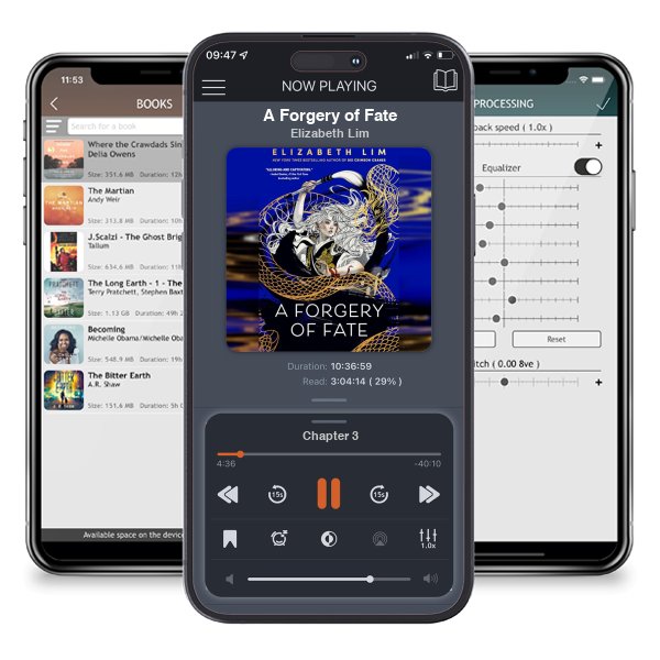 Download fo free audiobook A Forgery of Fate by Elizabeth Lim and listen anywhere on your iOS devices in the ListenBook app.