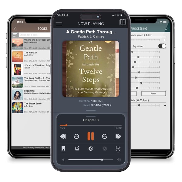 Download fo free audiobook A Gentle Path Through the Twelve Steps by Patrick J. Carnes and listen anywhere on your iOS devices in the ListenBook app.