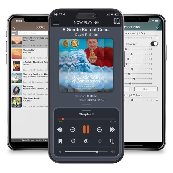 Download fo free audiobook A Gentle Rain of Compassion by David R. Shlim and listen anywhere on your iOS devices in the ListenBook app.