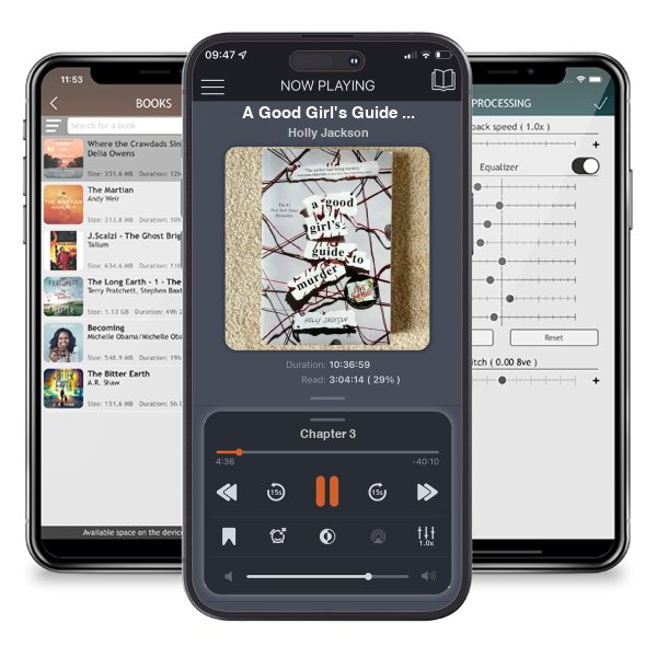 Download fo free audiobook A Good Girl's Guide to Murder by Holly Jackson and listen anywhere on your iOS devices in the ListenBook app.