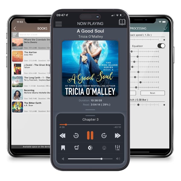 Download fo free audiobook A Good Soul by Tricia O'Malley and listen anywhere on your iOS devices in the ListenBook app.