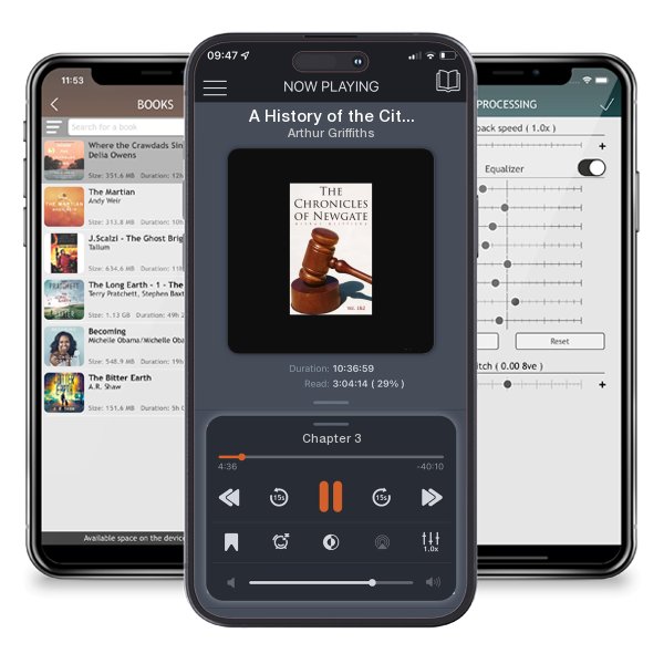 Download fo free audiobook A History of the City of Brooklyn and Kings County: Complete Edition (Vol. 1&2) by Arthur Griffiths and listen anywhere on your iOS devices in the ListenBook app.