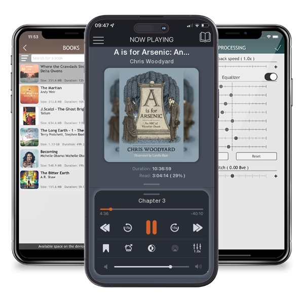 Download fo free audiobook A is for Arsenic: An ABC of Victorian Death by Chris Woodyard and listen anywhere on your iOS devices in the ListenBook app.