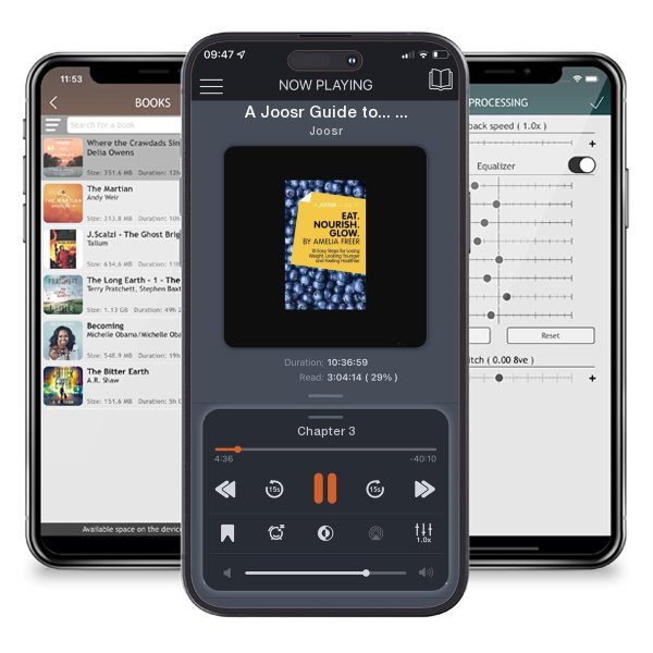 Download fo free audiobook A Joosr Guide to... Born to Run by Christopher McDougall: A Hidden Tribe, Superathletes and the Greatest Race the World has Never Seen by Joosr and listen anywhere on your iOS devices in the ListenBook app.
