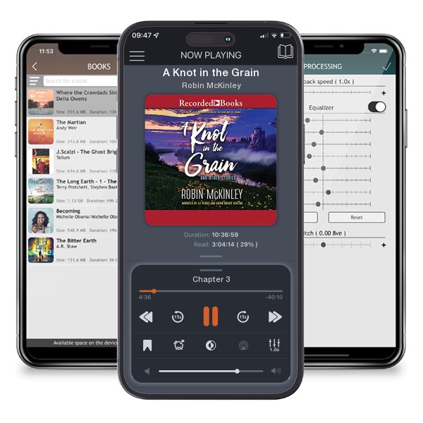 Download fo free audiobook A Knot in the Grain by Robin McKinley and listen anywhere on your iOS devices in the ListenBook app.