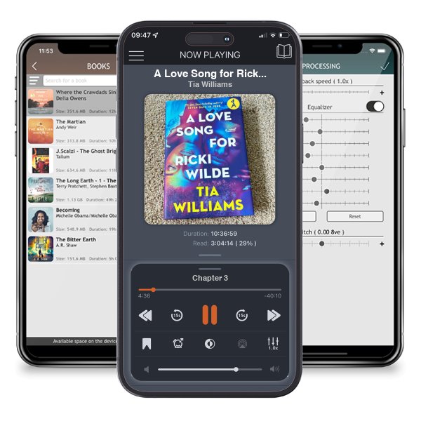 Download fo free audiobook A Love Song for Ricki Wilde by Tia Williams and listen anywhere on your iOS devices in the ListenBook app.