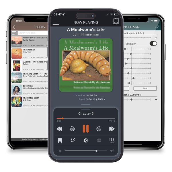 Download fo free audiobook A Mealworm's Life by John Himmelman and listen anywhere on your iOS devices in the ListenBook app.