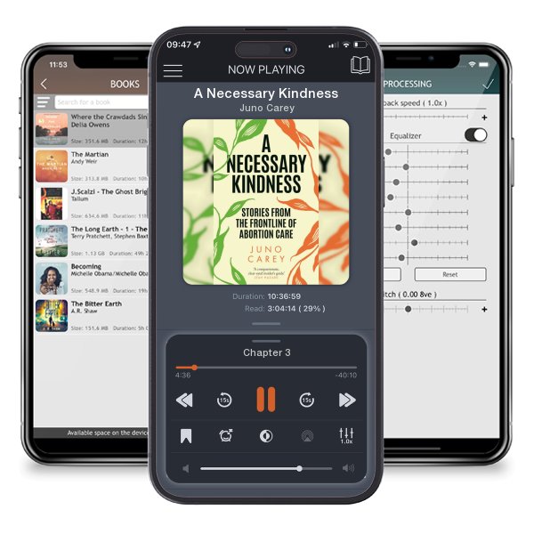 Download fo free audiobook A Necessary Kindness by Juno Carey and listen anywhere on your iOS devices in the ListenBook app.