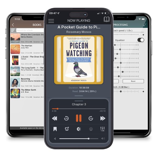 Download fo free audiobook A Pocket Guide to Pigeon Watching: Getting to Know the... by Rosemary Mosco and listen anywhere on your iOS devices in the ListenBook app.
