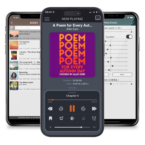 Download fo free audiobook A Poem for Every Autumn Day - A Poem for Every Day and Night of the Year by Allie Esiri and listen anywhere on your iOS devices in the ListenBook app.
