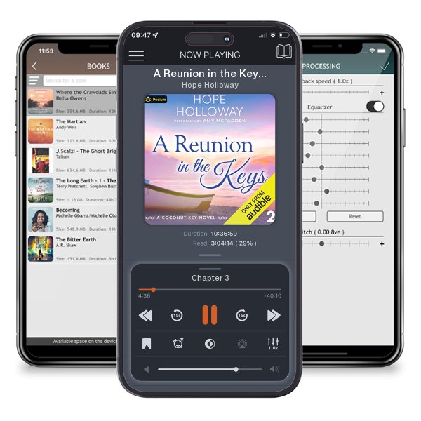 Download fo free audiobook A Reunion in the Keys by Hope Holloway and listen anywhere on your iOS devices in the ListenBook app.