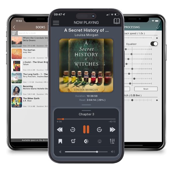 Download fo free audiobook A Secret History of Witches by Louisa Morgan and listen anywhere on your iOS devices in the ListenBook app.