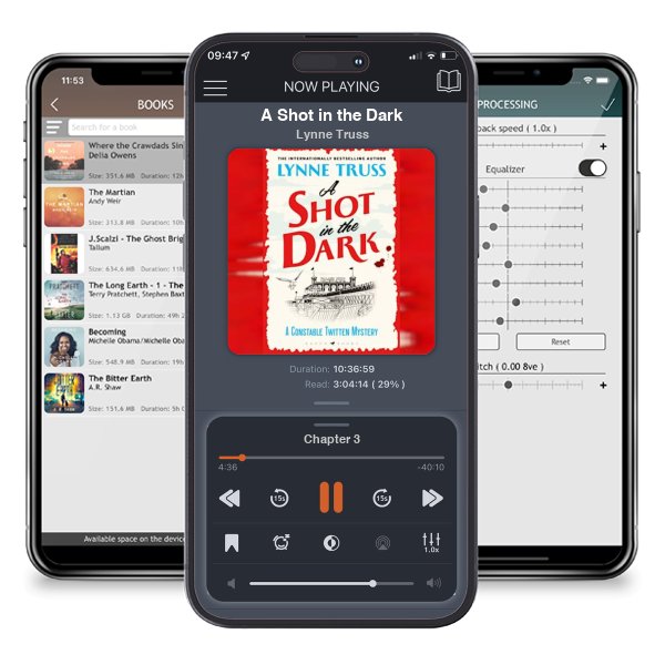 Download fo free audiobook A Shot in the Dark by Lynne Truss and listen anywhere on your iOS devices in the ListenBook app.