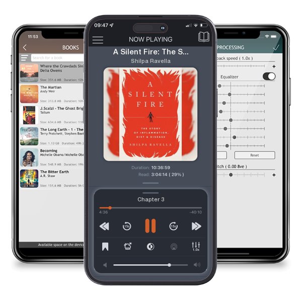 Download fo free audiobook A Silent Fire: The Story of Inflammation, Diet, and Disease by Shilpa Ravella and listen anywhere on your iOS devices in the ListenBook app.