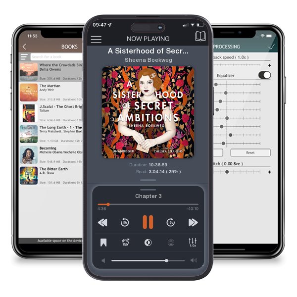 Download fo free audiobook A Sisterhood of Secret Ambitions by Sheena Boekweg and listen anywhere on your iOS devices in the ListenBook app.