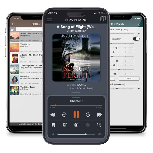 Download fo free audiobook A Song of Flight (Warrior Bards, #3) by Juliet Marillier and listen anywhere on your iOS devices in the ListenBook app.