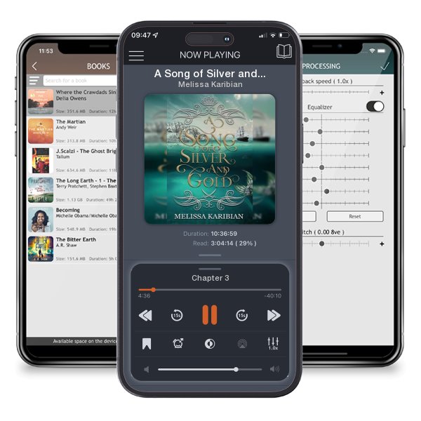 Download fo free audiobook A Song of Silver and Gold by Melissa Karibian and listen anywhere on your iOS devices in the ListenBook app.
