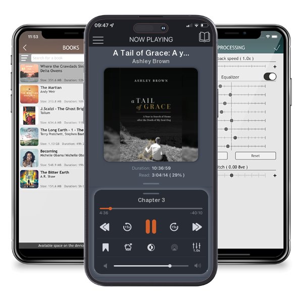 Download fo free audiobook A Tail of Grace: A year in search of home after the death of my soul-dog by Ashley Brown and listen anywhere on your iOS devices in the ListenBook app.