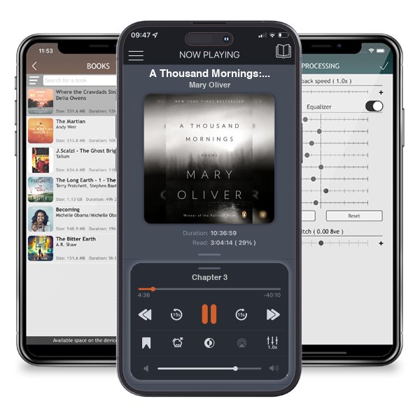 Download fo free audiobook A Thousand Mornings: Poems by Mary Oliver and listen anywhere on your iOS devices in the ListenBook app.