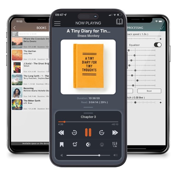 Download fo free audiobook A Tiny Diary for Tiny Thoughts (Diary) by Brass Monkey and listen anywhere on your iOS devices in the ListenBook app.