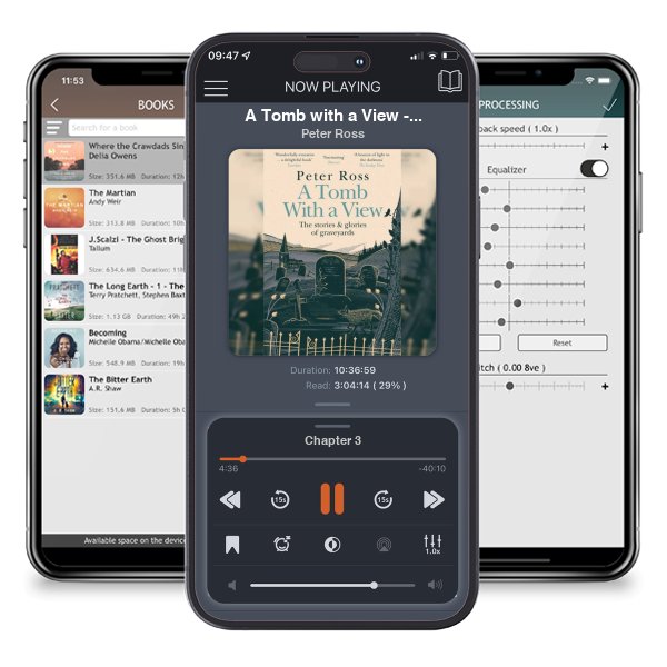 Download fo free audiobook A Tomb with a View - The Stories & Glories of Graveyards by Peter Ross and listen anywhere on your iOS devices in the ListenBook app.