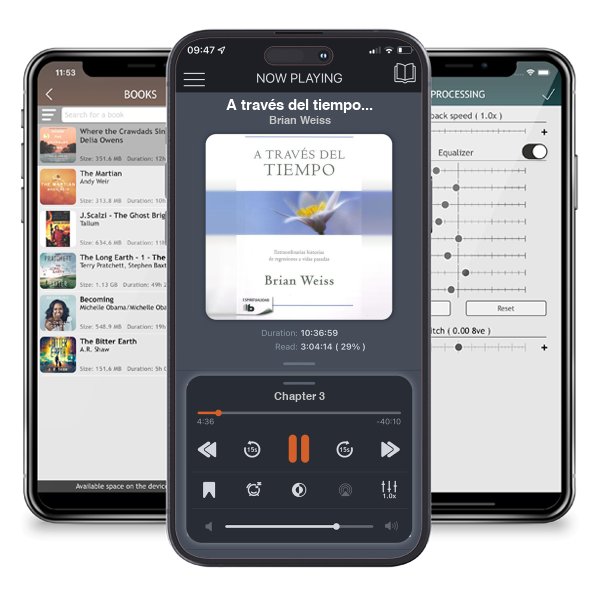 Descargar audiolibro gratis A través del tiempo / Through Time Into Healing by Brian Weiss y escuchar en cualquier lugar en sus dispositivos iOS en la aplicación ListenBook.