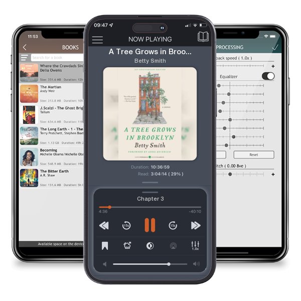 Download fo free audiobook A Tree Grows in Brooklyn by Betty Smith and listen anywhere on your iOS devices in the ListenBook app.
