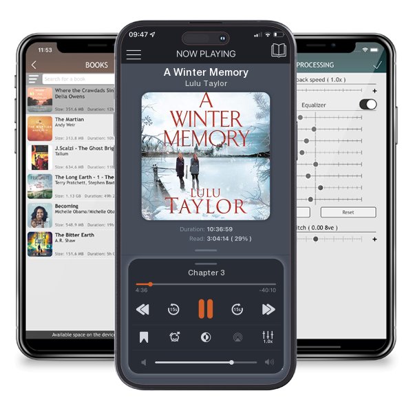 Download fo free audiobook A Winter Memory by Lulu Taylor and listen anywhere on your iOS devices in the ListenBook app.