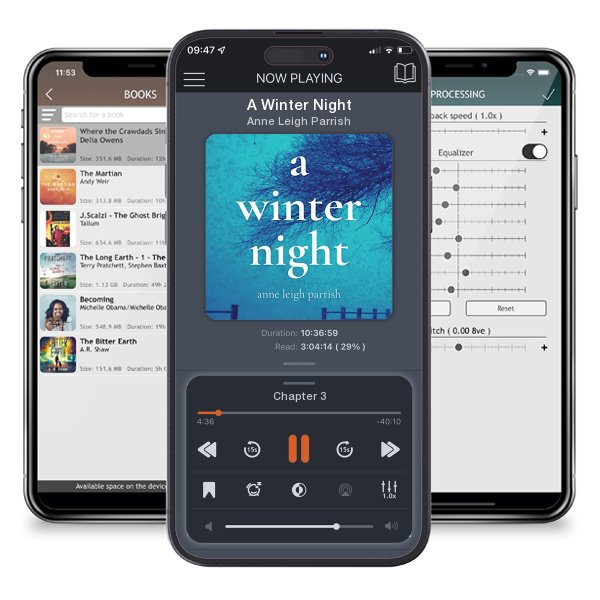 Download fo free audiobook A Winter Night by Anne Leigh Parrish and listen anywhere on your iOS devices in the ListenBook app.