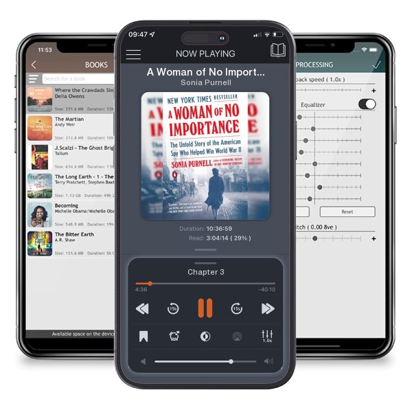 Download fo free audiobook A Woman of No Importance: The Untold Story of the American... by Sonia Purnell and listen anywhere on your iOS devices in the ListenBook app.