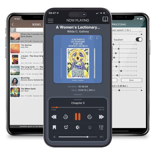 Download fo free audiobook A Women's Lectionary for the Whole Church Year C by Wilda C. Gafney and listen anywhere on your iOS devices in the ListenBook app.