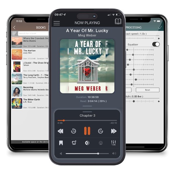 Download fo free audiobook A Year Of Mr. Lucky by Meg Weber and listen anywhere on your iOS devices in the ListenBook app.
