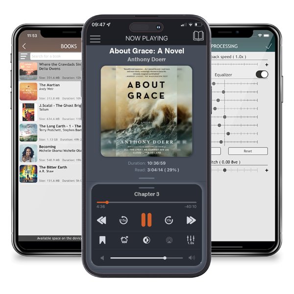 Download fo free audiobook About Grace: A Novel by Anthony Doerr and listen anywhere on your iOS devices in the ListenBook app.