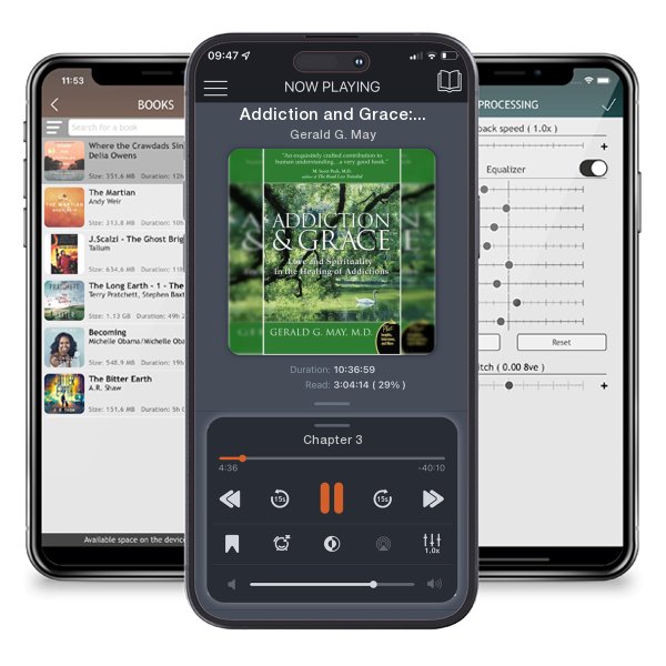 Download fo free audiobook Addiction and Grace: Love and Spirituality in the Healing of Addictions by Gerald G. May and listen anywhere on your iOS devices in the ListenBook app.