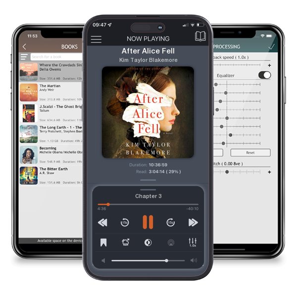 Download fo free audiobook After Alice Fell by Kim Taylor Blakemore and listen anywhere on your iOS devices in the ListenBook app.