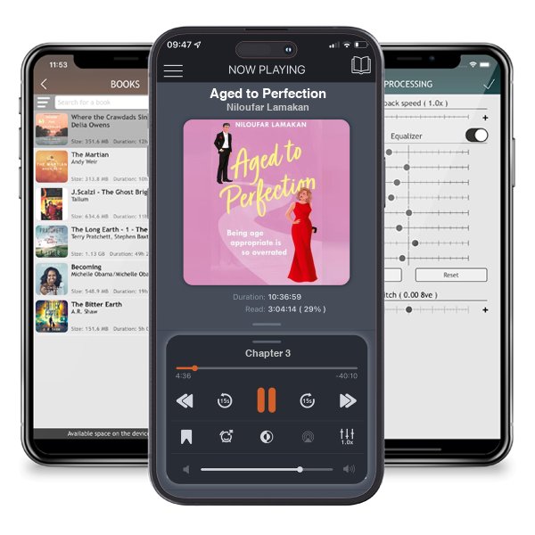 Download fo free audiobook Aged to Perfection by Niloufar Lamakan and listen anywhere on your iOS devices in the ListenBook app.