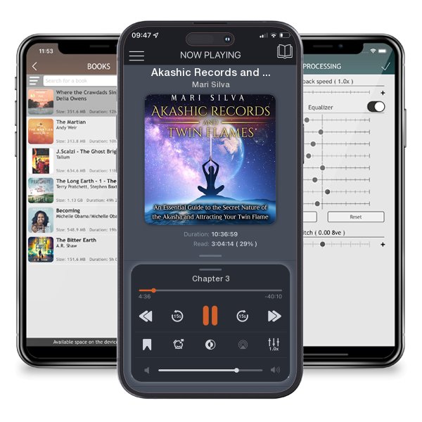 Download fo free audiobook Akashic Records and Twin Flames by Mari Silva and listen anywhere on your iOS devices in the ListenBook app.