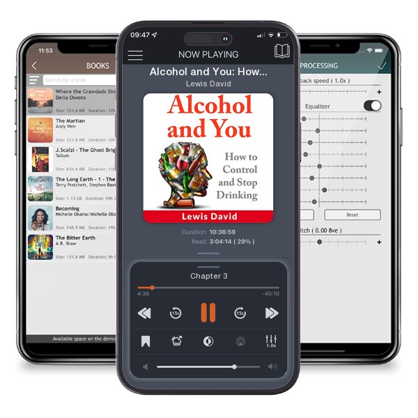 Download fo free audiobook Alcohol and You: How to Control and Stop Drinking by Lewis David and listen anywhere on your iOS devices in the ListenBook app.