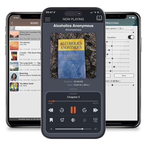 Download fo free audiobook Alcoholics Anonymous by Anonymous and listen anywhere on your iOS devices in the ListenBook app.