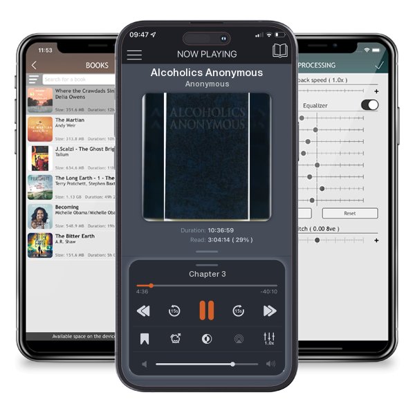 Download fo free audiobook Alcoholics Anonymous by Anonymous and listen anywhere on your iOS devices in the ListenBook app.